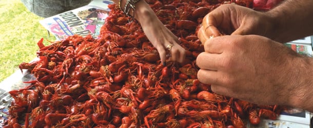 WHAT LOUISIANANS WISH OTHERS KNEW ABOUT BOILED CRAWFISH