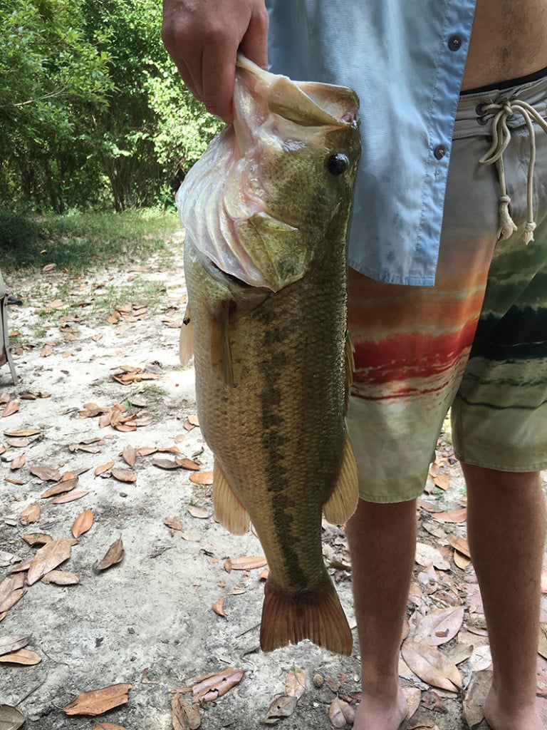 Landon Hermann with a 7.5-ounce bass he caught  recently at Big Cow Creek.